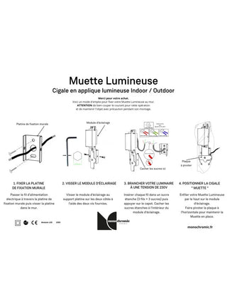 Découvrez l'applique cigale lumineuse Monochromic en céramique chez CQFD Avignon. Design outdoor/indoor, fabriquée à la main dans le Sud.