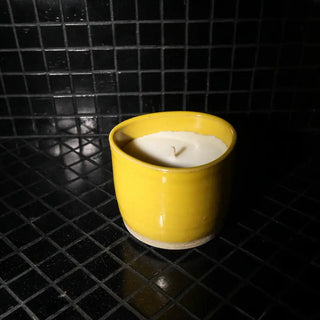 Bougie Muguie 180g MAISON TASSAN farniente-1