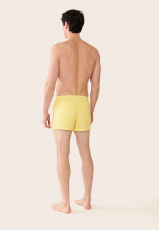 Caleçon Jacques motif Vichy Jaune Citron par Le Slip Français. Un classique 100% coton, confortable et fabriqué en France. À shopper chez CQFD Avignon !