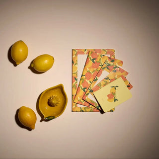 Découvrez le carnet de notes A5 Limonata de Season Paper chez CQFD Avignon. 64 pages lignées, papier offset ivoire, encres végétales, 100 % fabriqué en France.