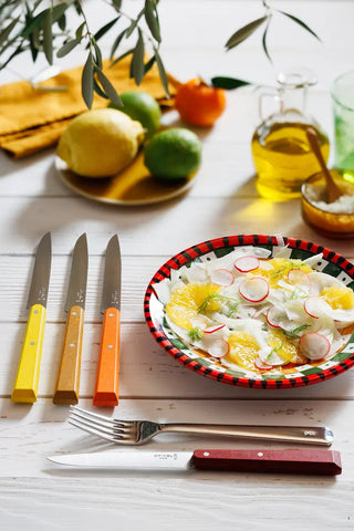 Le coffret Opinel Bon Appétit Agrumes : 4 couteaux de table vitaminés fabriqués en France. Lame en acier inox et manche en bois de charme. Tranchant parfait !