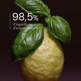 Liquide Vaisselle Naturel Basilic Citron 400ml | CQFD