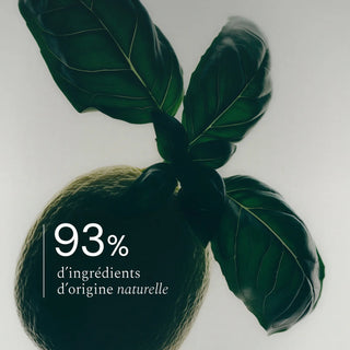 Découvrez le parfum d'intérieur Basilic Citron à 93% naturel. Neutralise les odeurs instantanément. Flacon verre rechargeable. Fabriqué en France chez CQFD Avignon.