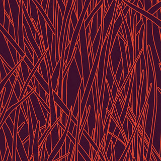 HF02 – Herbes Folles