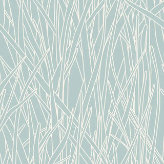 HF07 – Herbes Folles