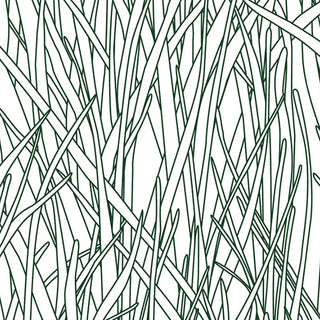 HF08 – Herbes Folles