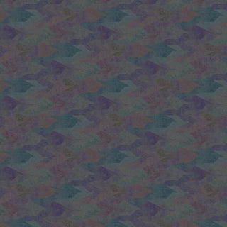 NP02 – Nuée petit