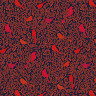 PC01 – Paradis Caché