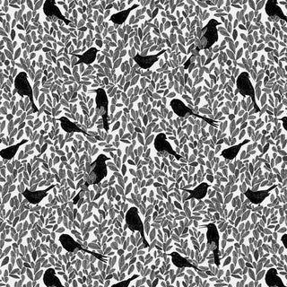 PC02 – Paradis Caché