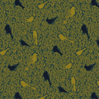 PC03 – Paradis Caché