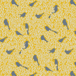 PC04 – Paradis Caché