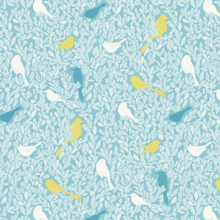 PC05 – Paradis Caché