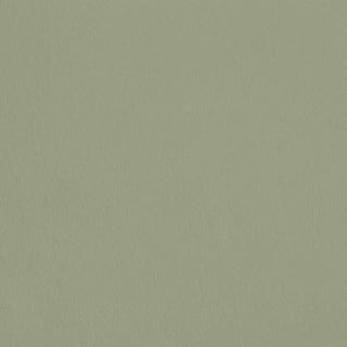 Pack Peinture Satin Essentiel Paradis Vert