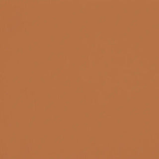 Pack Peinture Satin Essentiel Terre Cuite