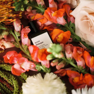 Parfum Accrodisiaque VERSATILE