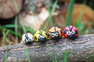 Boîte Atelier Eveil 9 couleurs