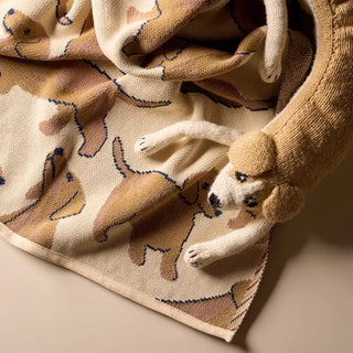 Petit plaid en maille Jacquard Season Paper petit teckel