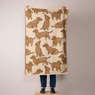 Petit plaid en maille Jacquard Season Paper petit teckel