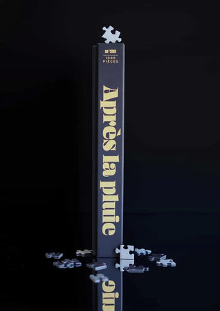 Puzzle 1000 pièces Après La Pluie par Jour Férié. Un défi urbain poétique aux reflets changeants, éco-conçu et fabriqué en France. À shopper chez CQFD Avignon !