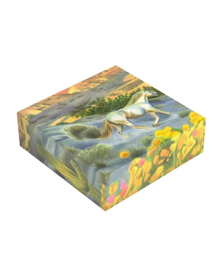 Découvrez le puzzle Arizona de SULO chez CQFD Avignon. 1000 pièces illustrées par Laura Ottone. Édition limitée à 500 ex. Fabriqué en France et éco-responsable.