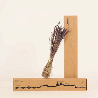 Silhouette murale The Line Avignon noir