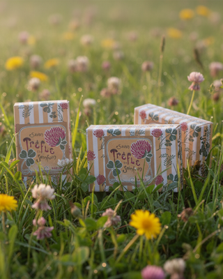 Découvrez le savon Trèfle et Sainfoin d'Oriza L. Legrand. Un soin extra-fin fabriqué à Marseille aux notes d'herbe coupée. Pour un teint frais et pur. 125g.