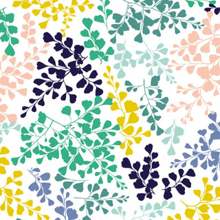 VG01 – Vénus grand