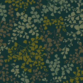 VG02 – Vénus grand