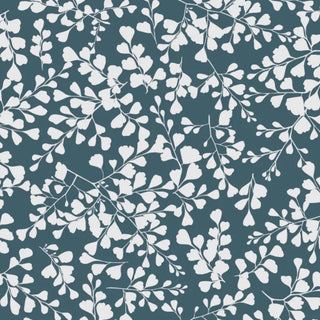 VG04 – Vénus grand