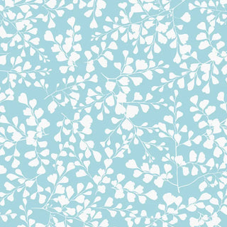 VG05 – Vénus grand