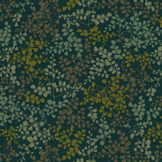 VP01 – Vénus petit