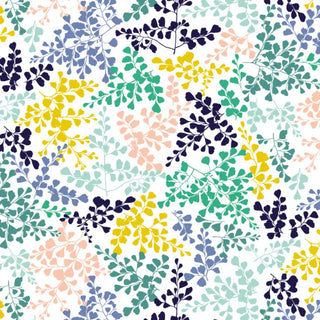 VP02 – Vénus petit