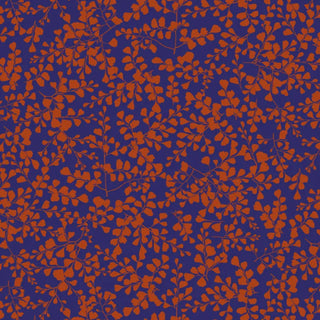 VP03 – Vénus petit