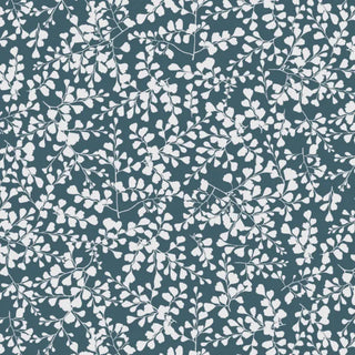 VP04 – Vénus petit