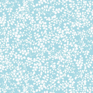 VP05 – Vénus petit