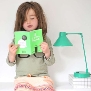 cahier activités ah si j'étais président minus éditions