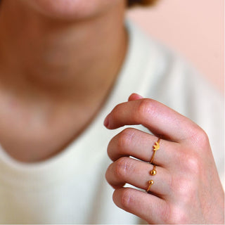 broche-flatbush-titlee