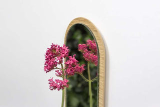 reine mere equinoxe-3