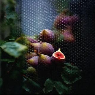 Bougie Parfumée Kerzon Feuille de Figuier