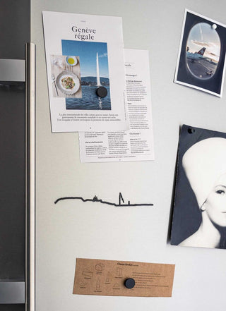 the line mini geneve