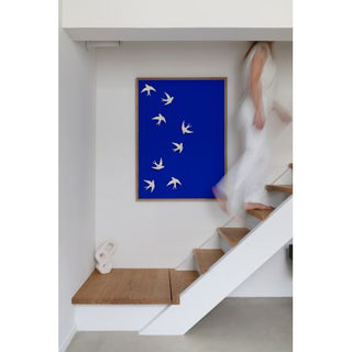 hirondelle-volages-monochromic