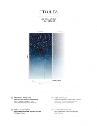 Fresque Étoiles de PaperMint