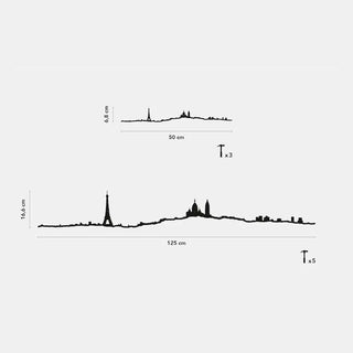 Silhouette murale Paris XL The Line