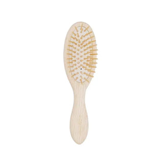 petite brosse demelante andrée jardin