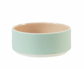 plat S studio 2.0 jars