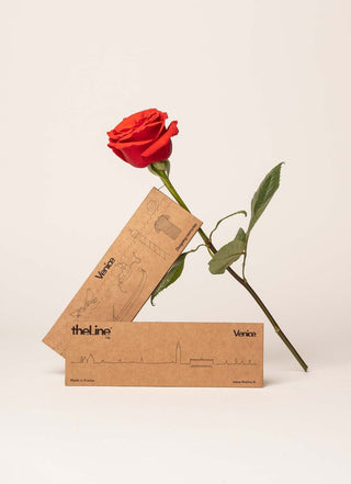 the line mini venise