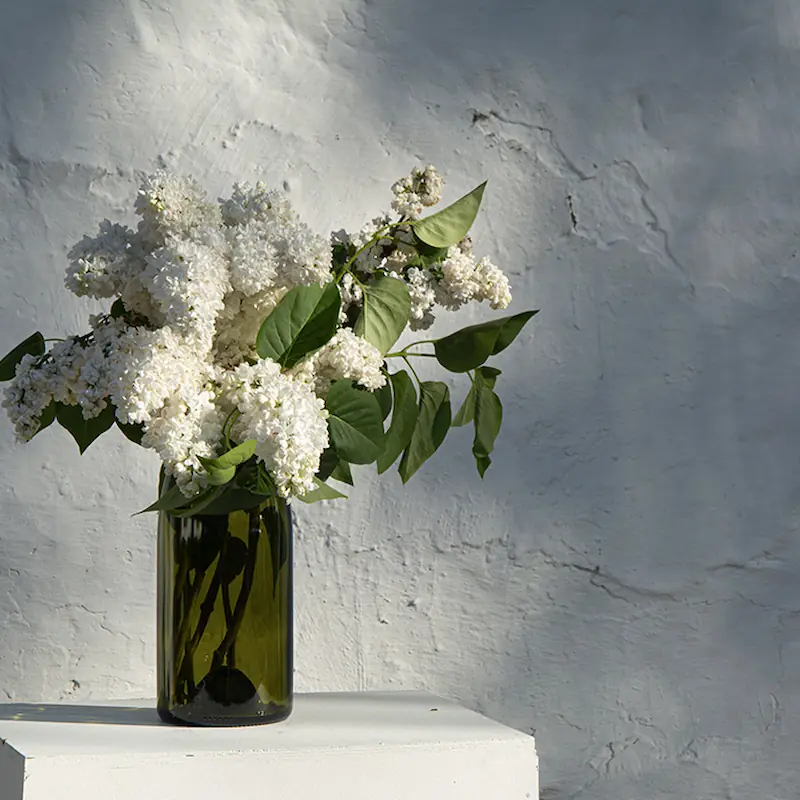 Vase magnum « Rire » – Q de Bouteilles