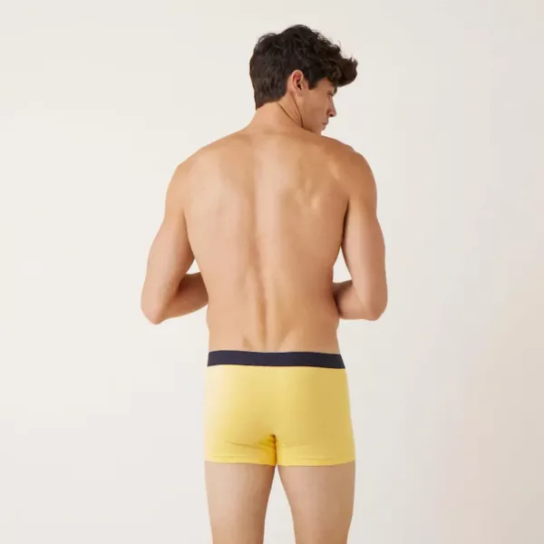 Boxer Marius en coton bio jaune astera Le Slip Français