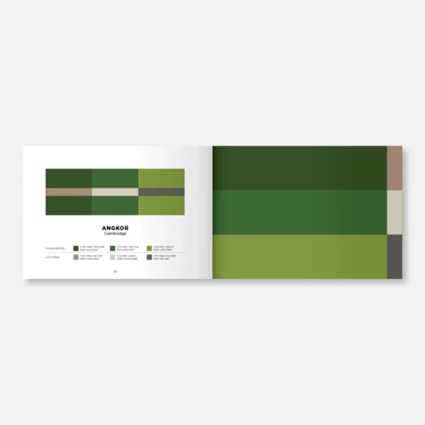 Carnet Color Inspiration Papier Tigre Volume 1