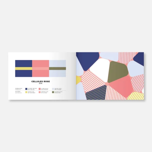 Carnet Color Inspiration Papier Tigre Volume 3